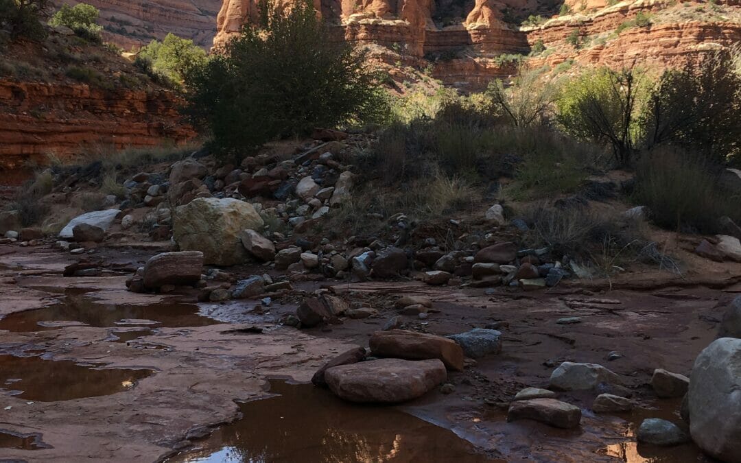 The altered definition of a river in one angler’s mind