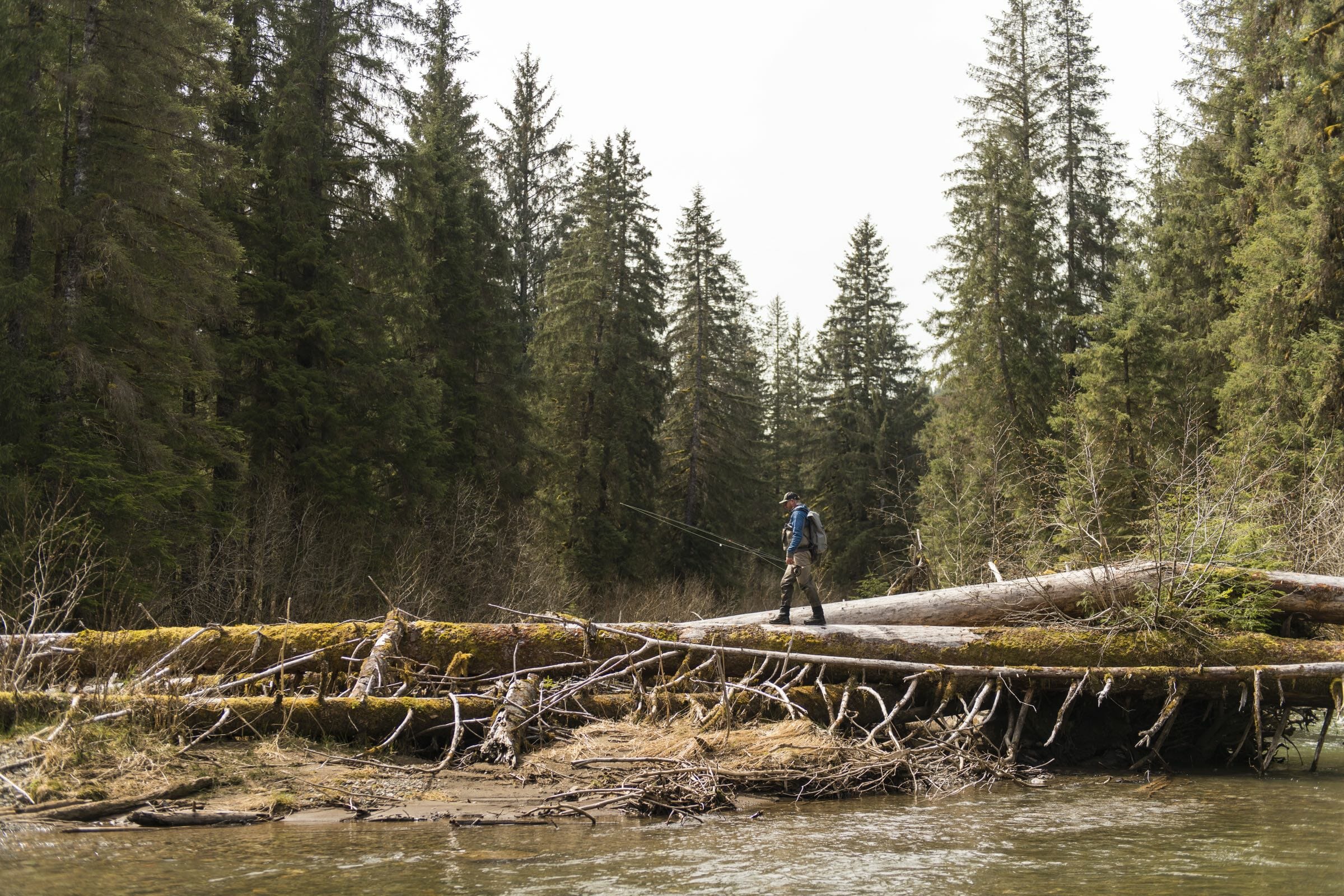legacy_tongass_04