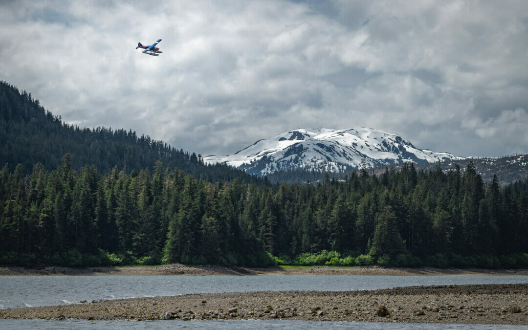 The wild Tongass and common-sense policies