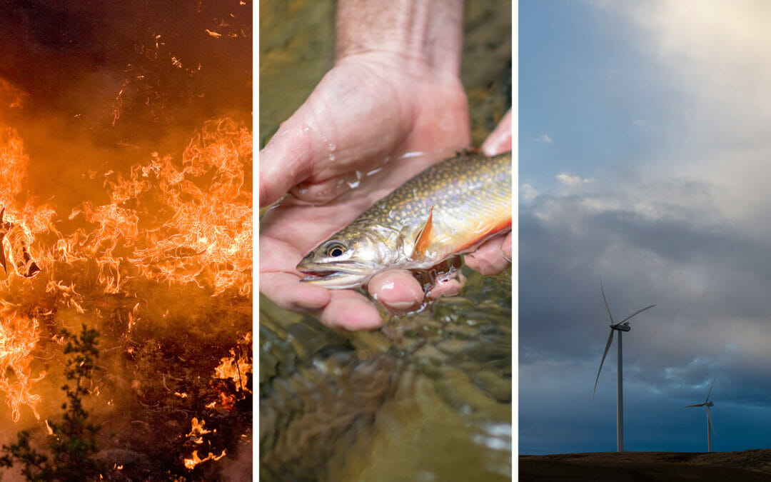 The time for action on climate change is now