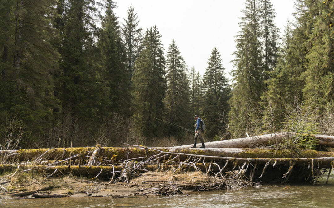 Desperately seeking steelhead in Alaska for science