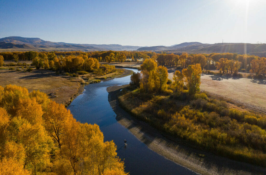 Conservation victories make not fishing tolerable