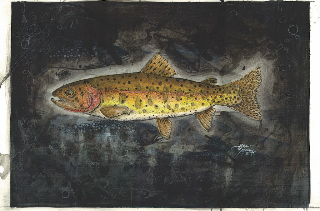 A Lahontan cutthroat trout story from someone who knows them best