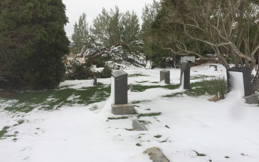 A Wyoming storm turns into a restoration opportunity