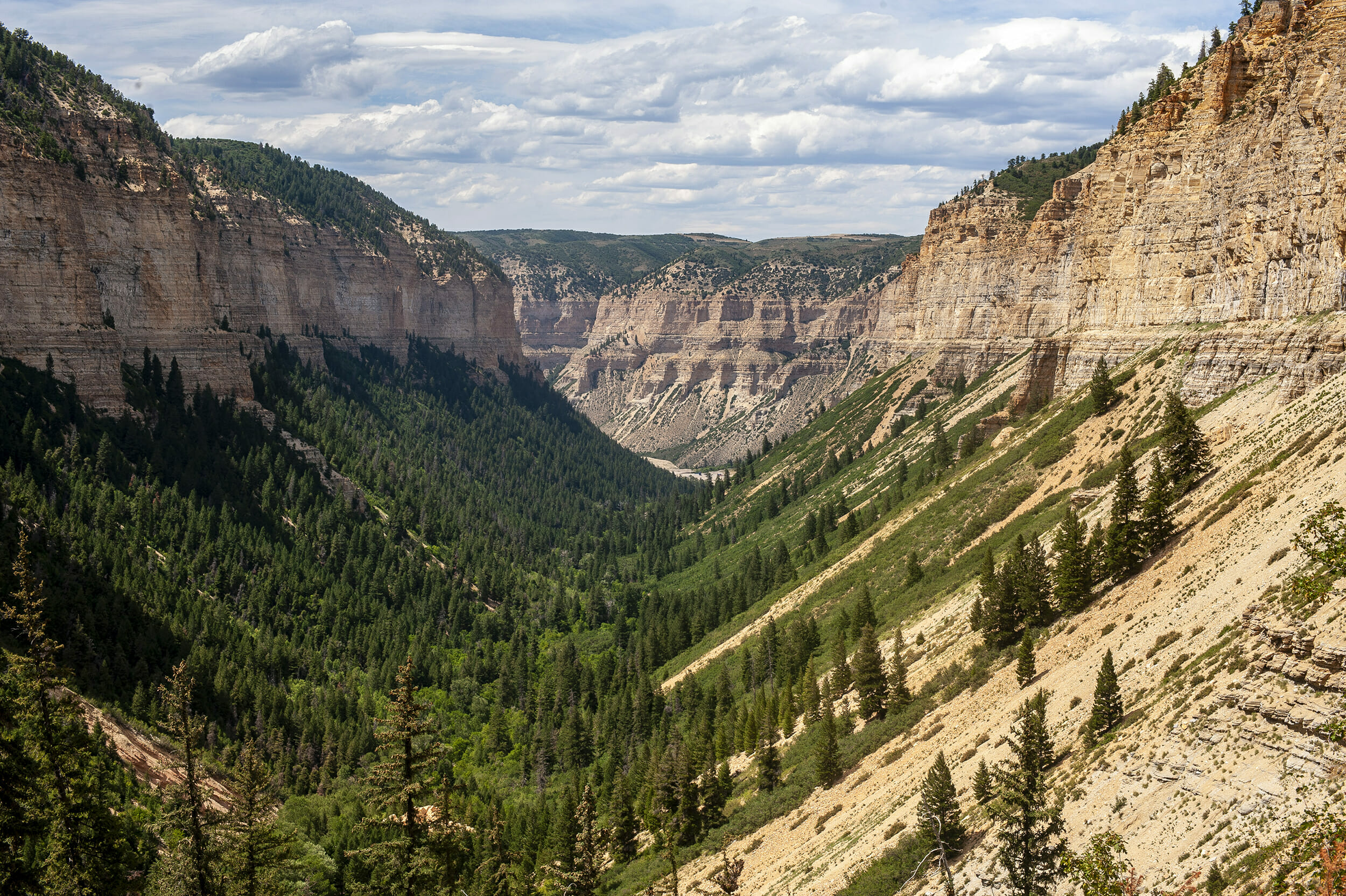 Parachute Creek in Colorado