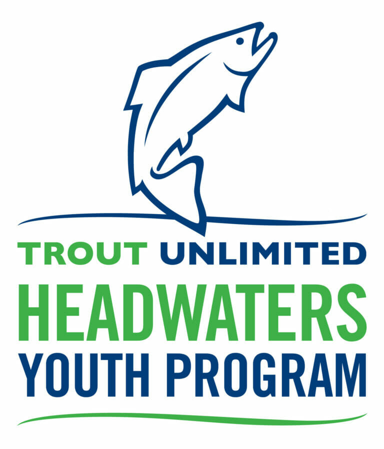 Observation about nature picture