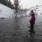 A girl fly fishes in the winter.