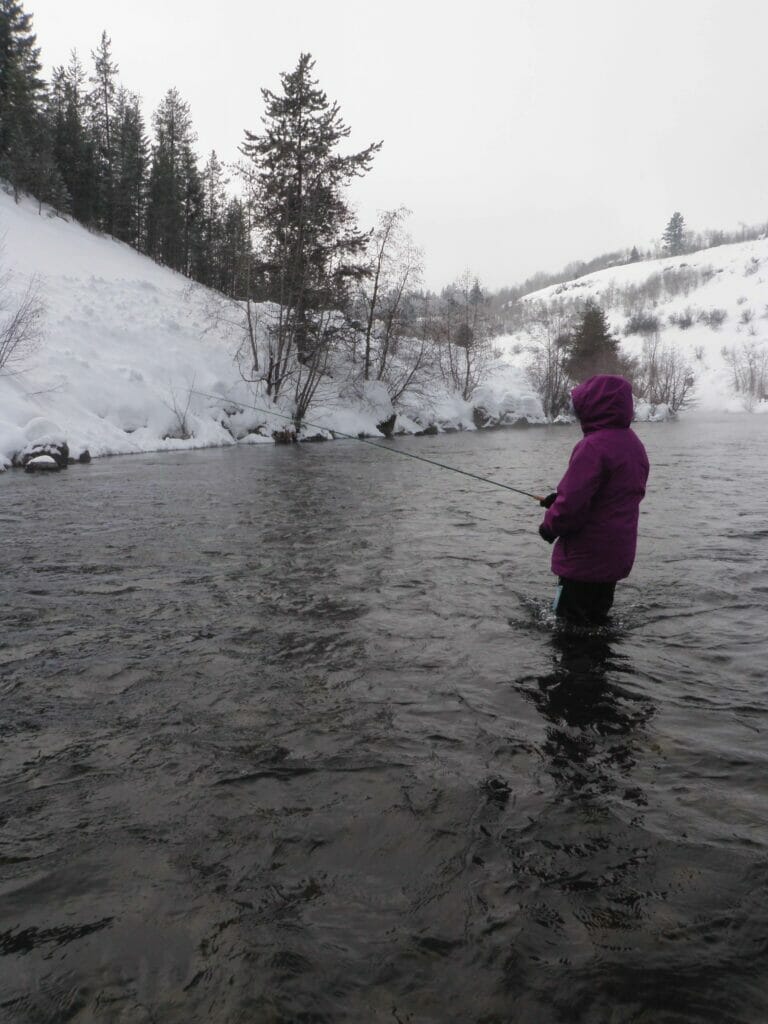 A girl fly fishes in the winter.