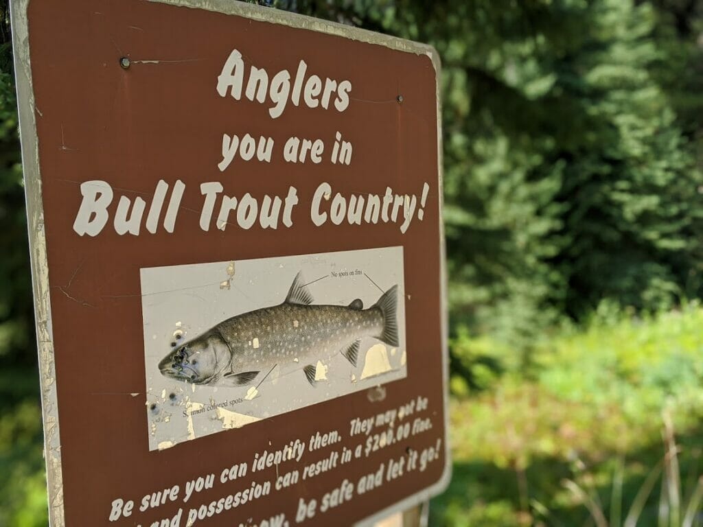 anglers you are in bull trout country sign