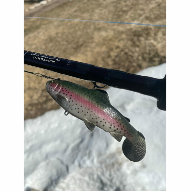Trout As Bait? Trout Unlimited