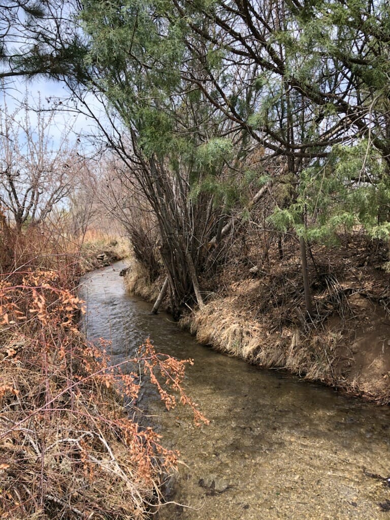 Acequias are the lifeblood of this dry region providing much-needed water for agriculture, communities and more.