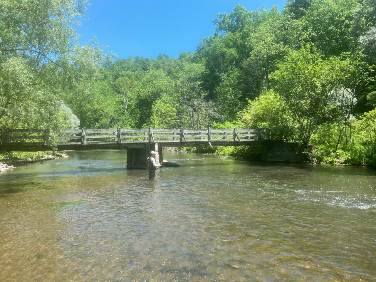 Chasing Wild Trout On Pennsylvania's Storied Spring Creek Trout Unlimited