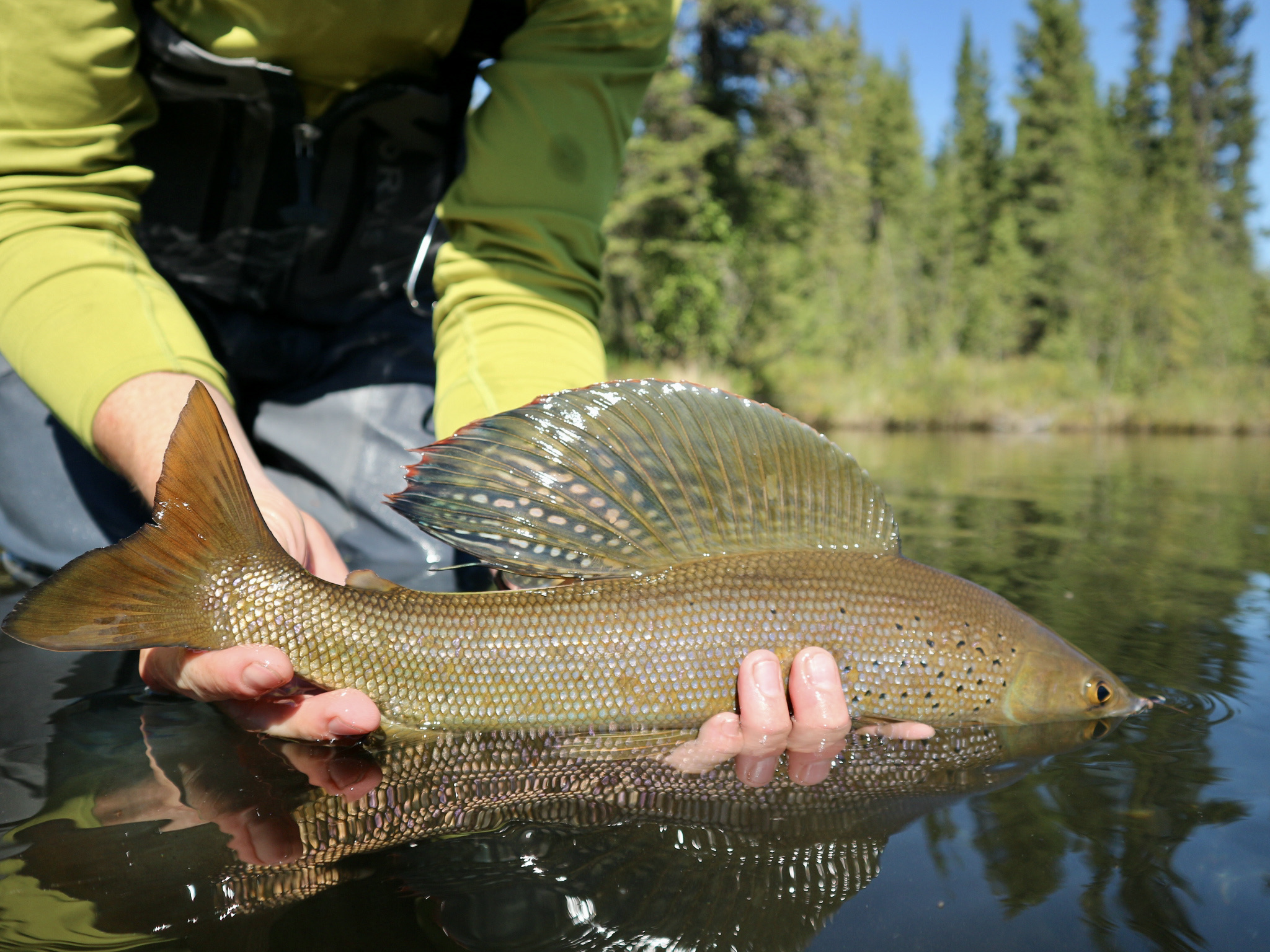 Just Because You Can Doesn't Mean You Should - Trout Unlimited