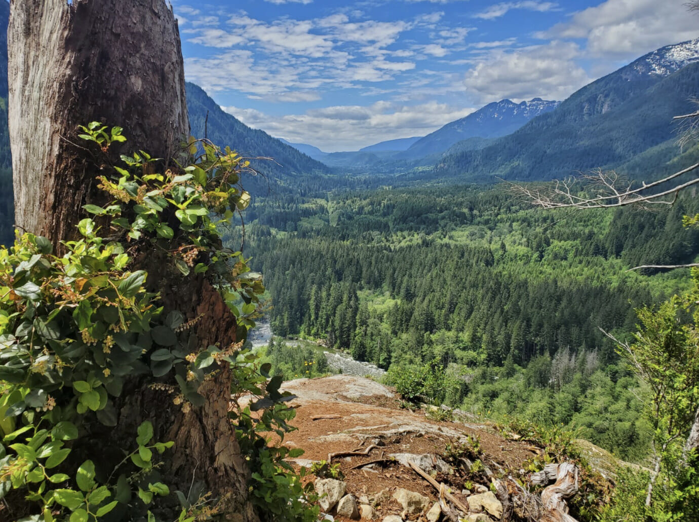 Wild country in Washington state.