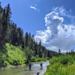 Two men fish a trout stream in Idaho.