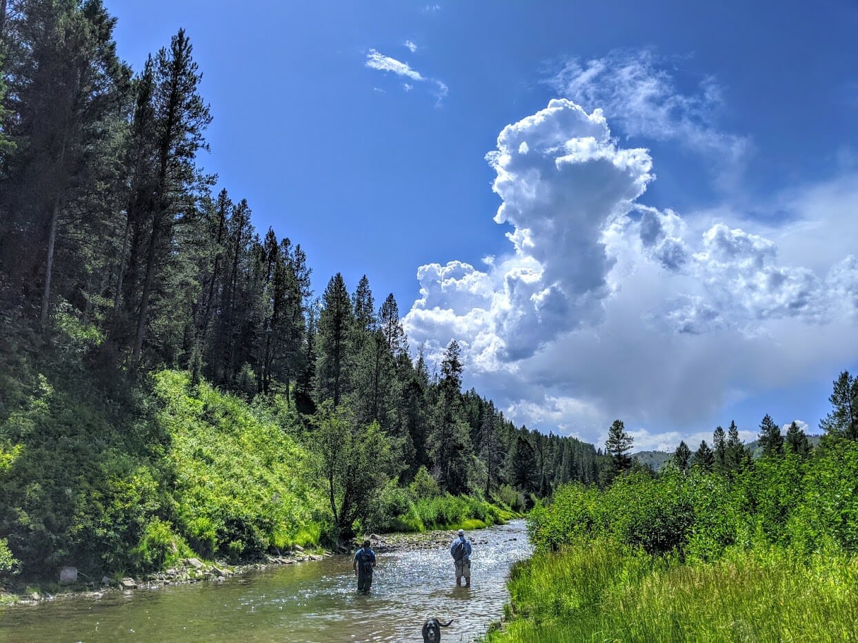 Two men fish a trout stream in Idaho.