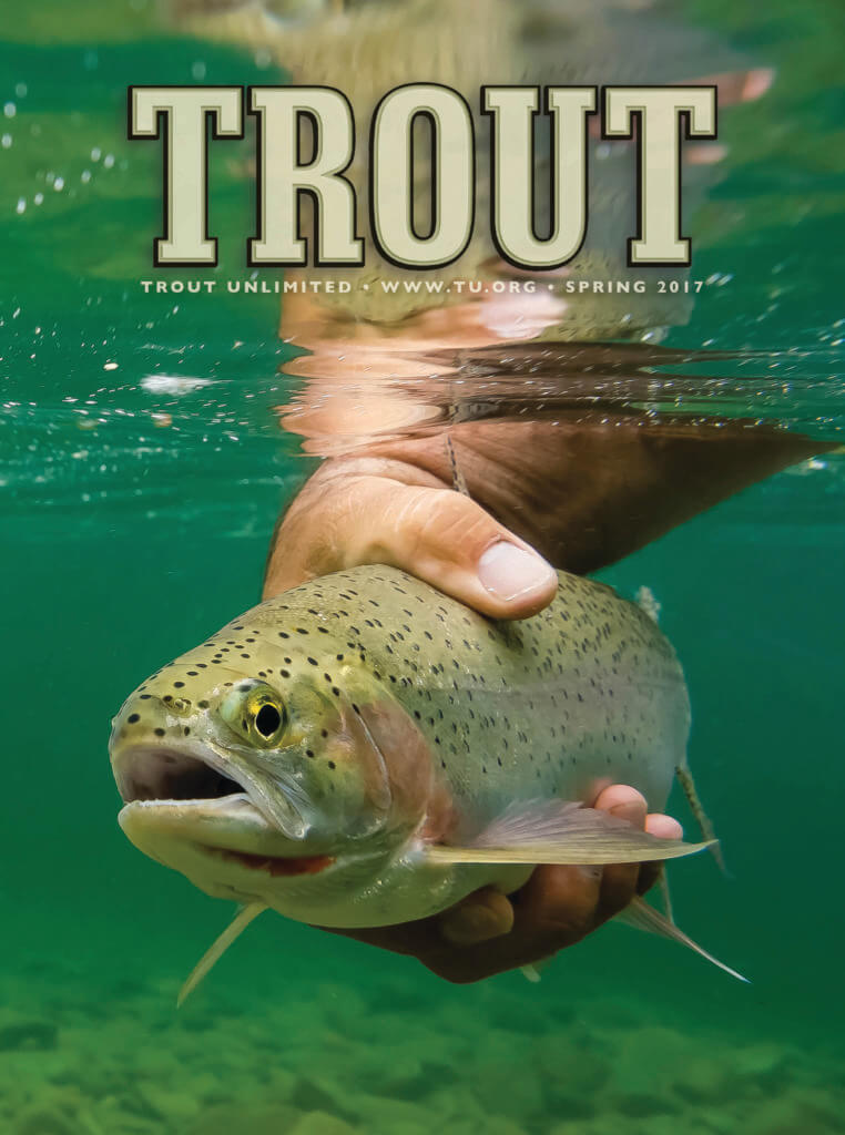 What's Your Favorite TROUT Magazine Cover From The Past 10 Years? - Trout  Unlimited