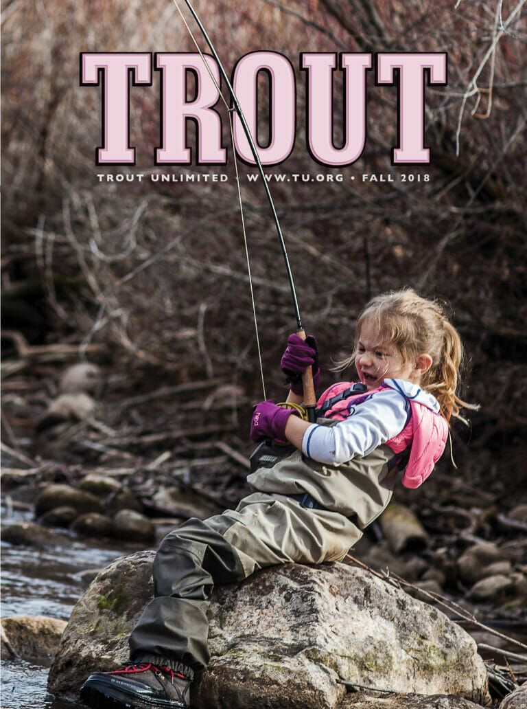 What’s Your Favorite TROUT Magazine Cover From The Past 10 Years