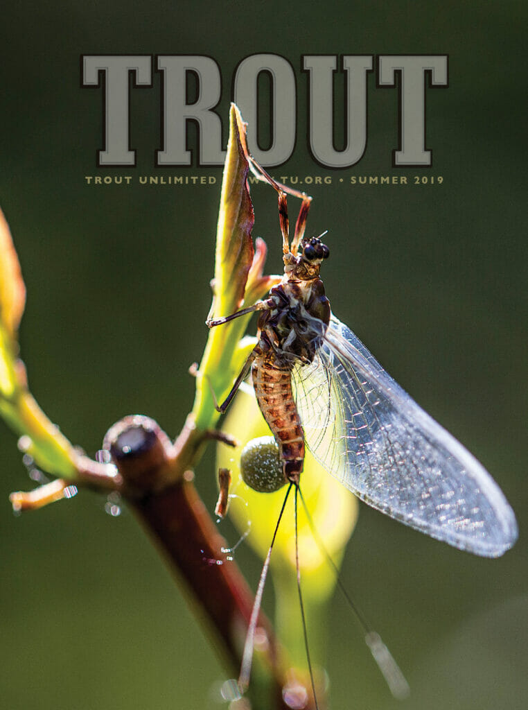 What's Your Favorite TROUT Magazine Cover From The Past 10 Years? - Trout  Unlimited