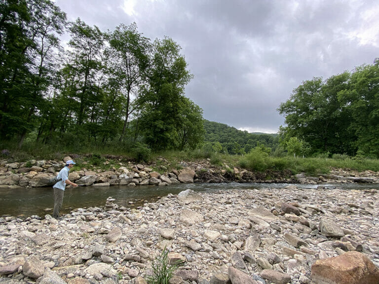 A Vision Of Trophy Wild Brook Trout In WV Trout Unlimited