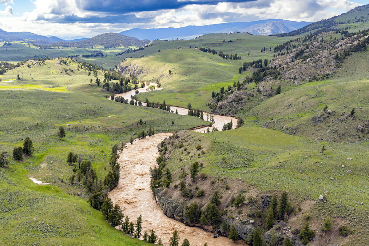 Yellowstone Still Open For Business Trout Unlimited