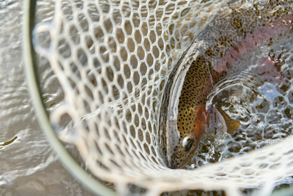 For A Change, Try The 'Technique Slam' - Trout Unlimited