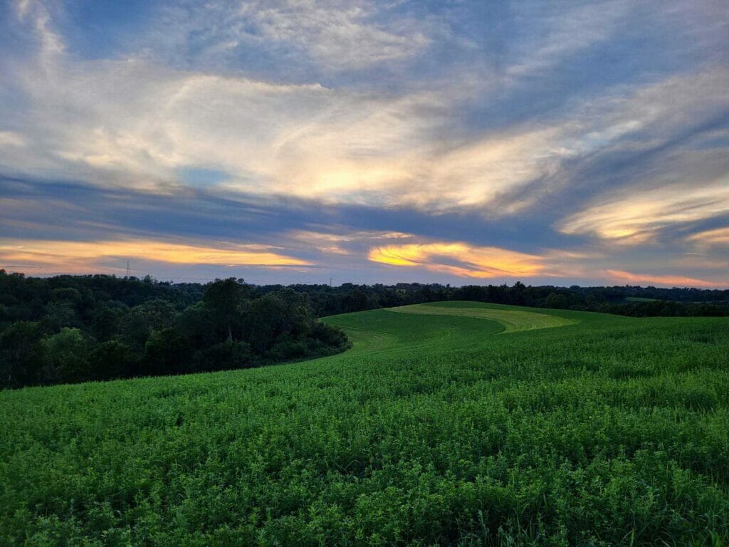 driftless area landspace meadow at sunset