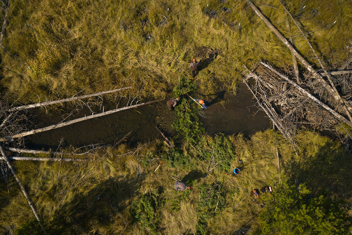 In Northeast Oregon, a Hand Crew Initiative spent a summer restoring headwater floodplains Kelsay Creek and neighboring tributaries.