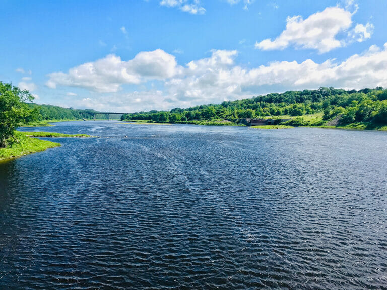 Monumental agreement for Maine's Atlantic salmon