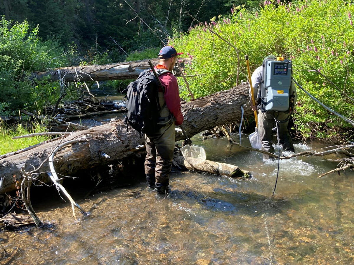 Planning For Salmon And Steelhead To Return As The Klamath Dams Come
