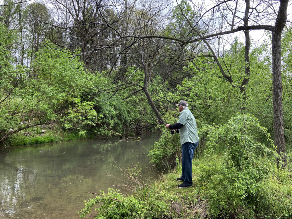 Older man on bank casts into wooded stream
