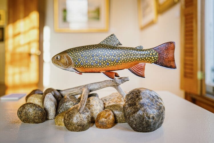 Taxidermy Brook Trout mounted on drift wood and river stones