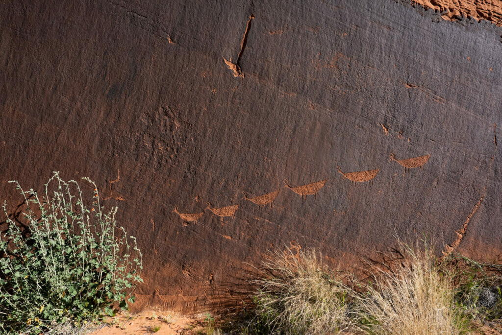 Descending Sheep Petroglyph Panel