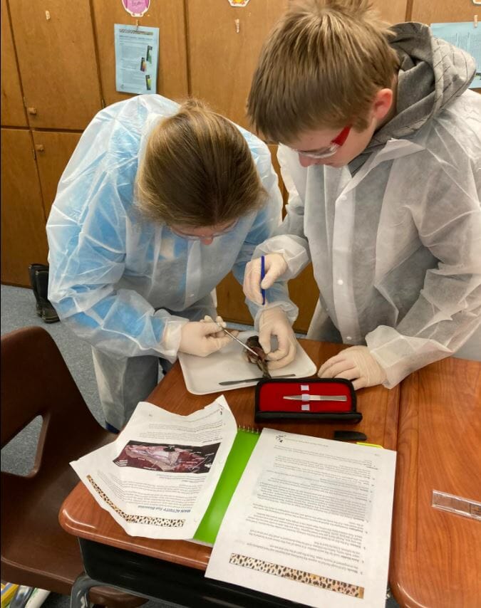 Two students in protective gear dissect a fish on a school desk