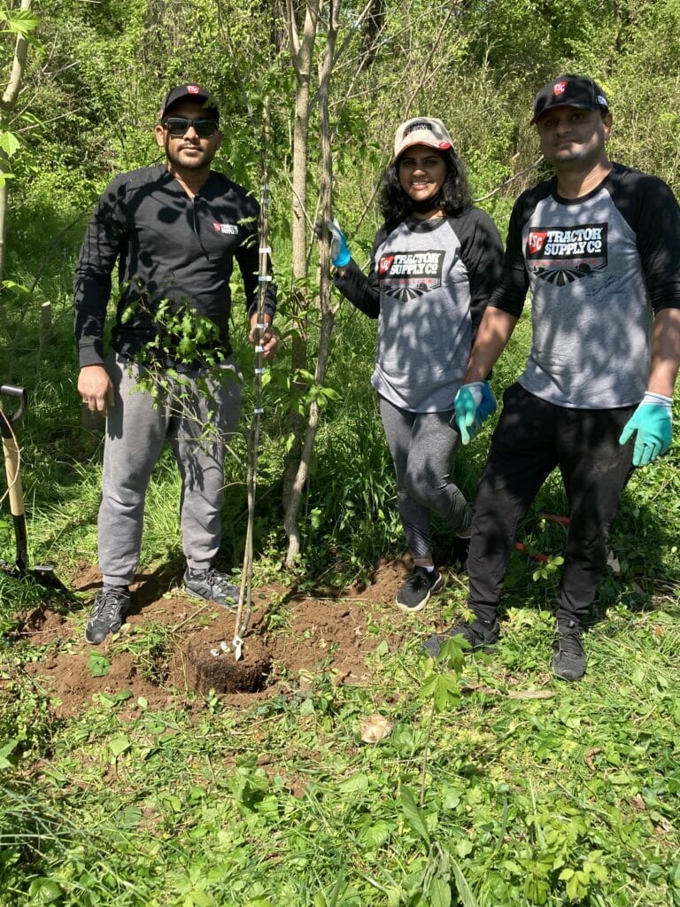 Three people planting a tree