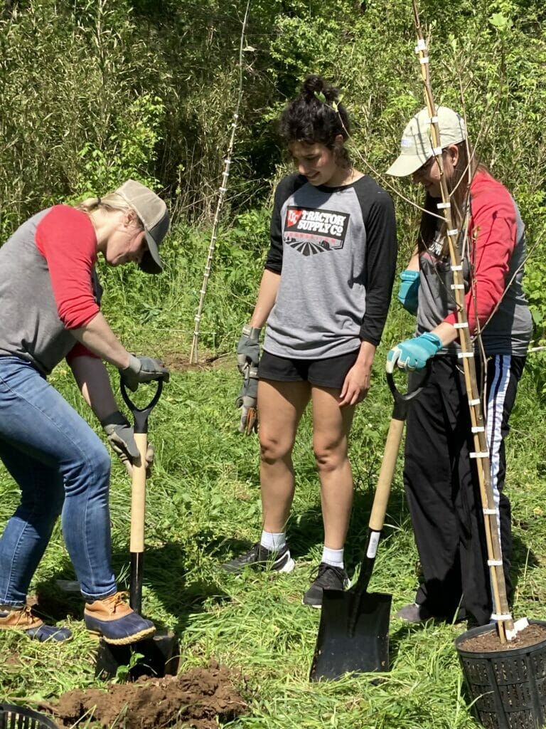 Three people dig holes for potted trees