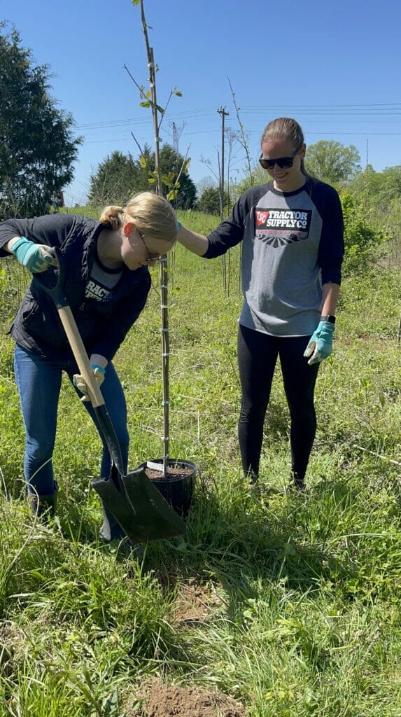 A woman digs a hole while a slacker woman just holds the tree about to be planted