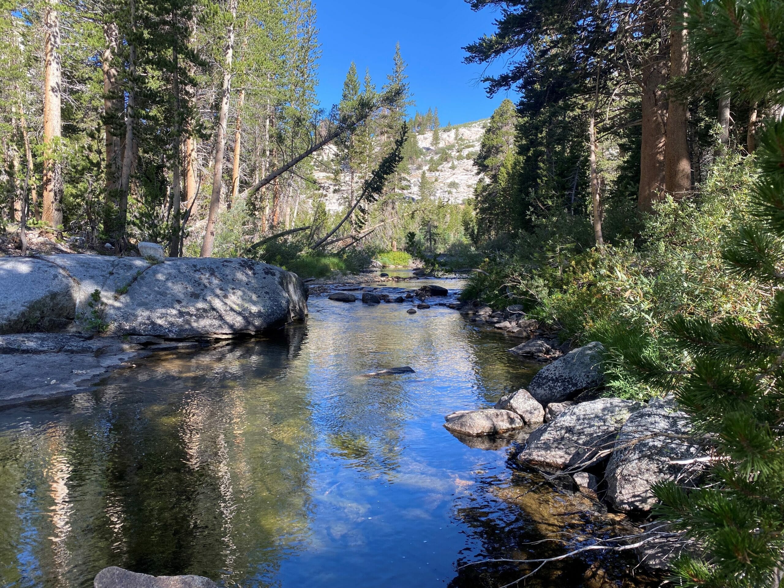 River in forrest with mountains in Sequoia National Park