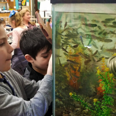 Several elementary kids look closely at a tank full of fish
