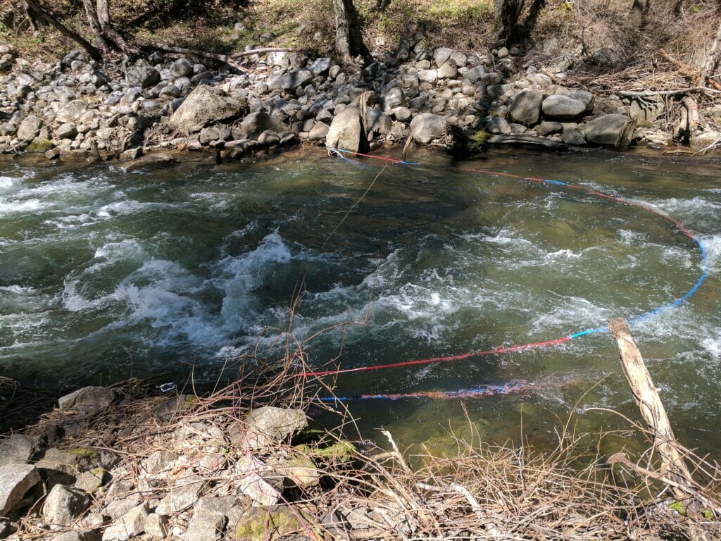 Flowing river with colored cables that are PIT tag antenna to study downstream passages