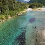 Man fishing in clear river with hundreds of fish