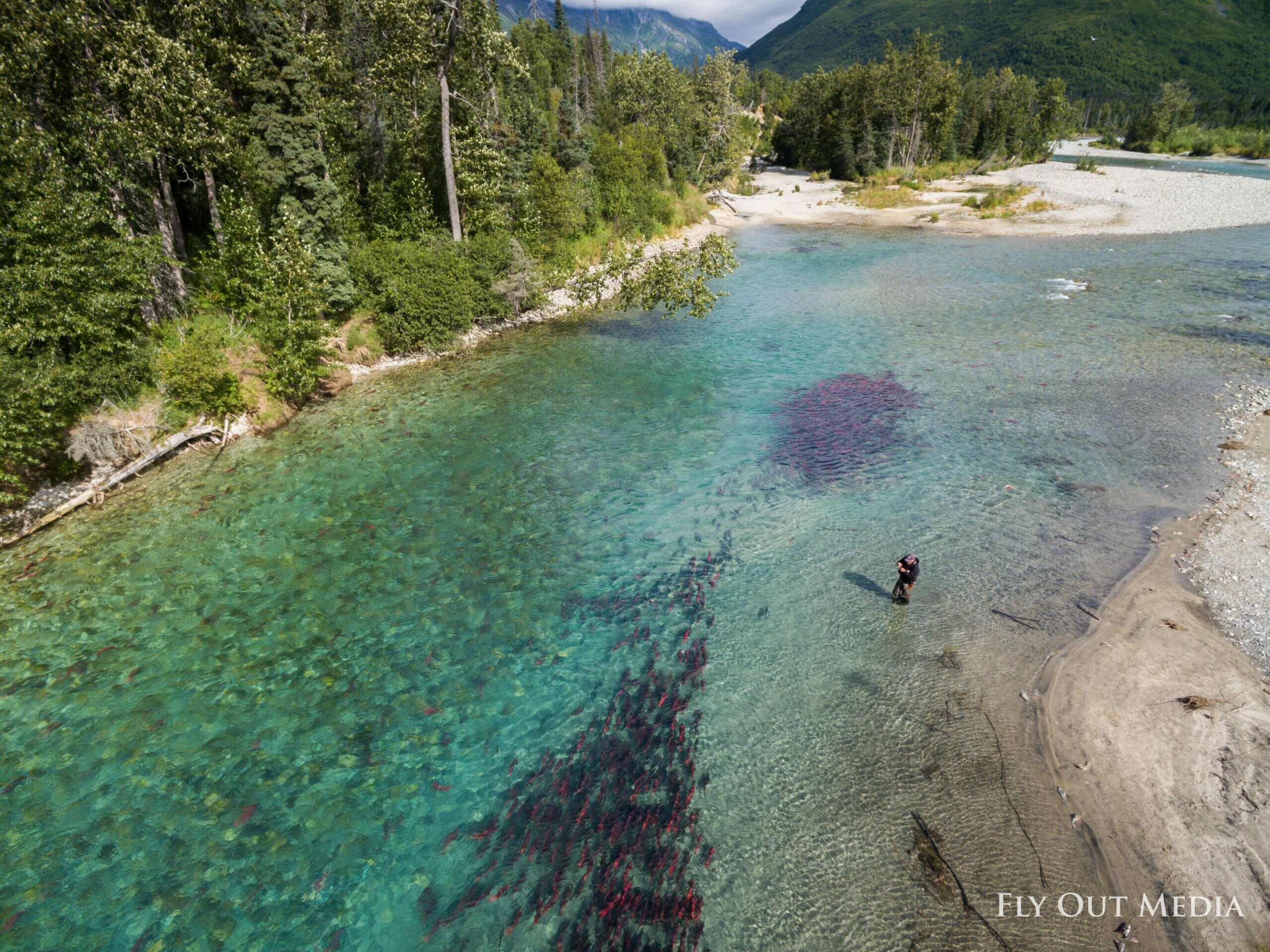 Man fishing in clear river with hundreds of fish