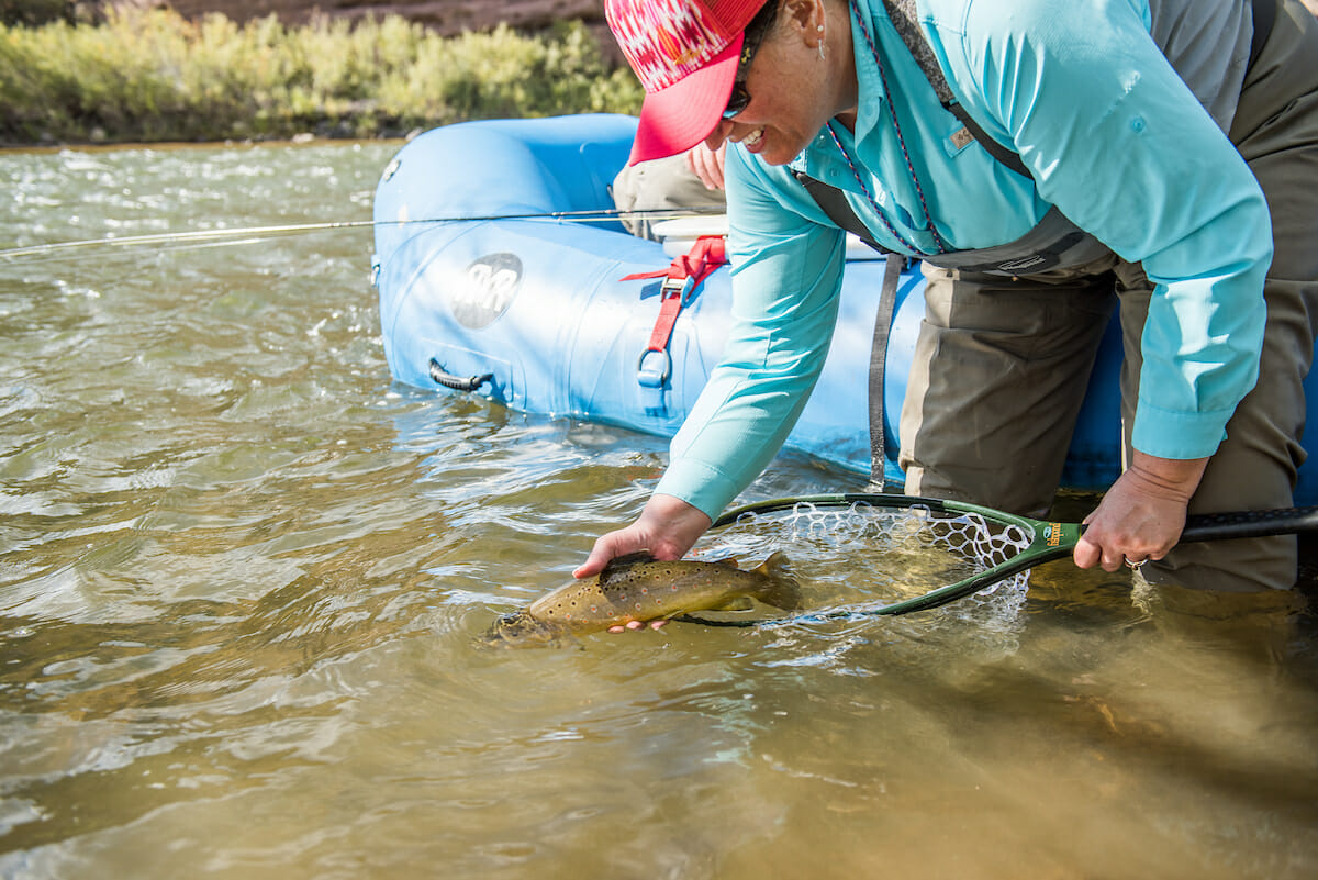 Catch And Release The Big Picture Trout Unlimited catch-and-release-the-big-picture-trout-unlimited