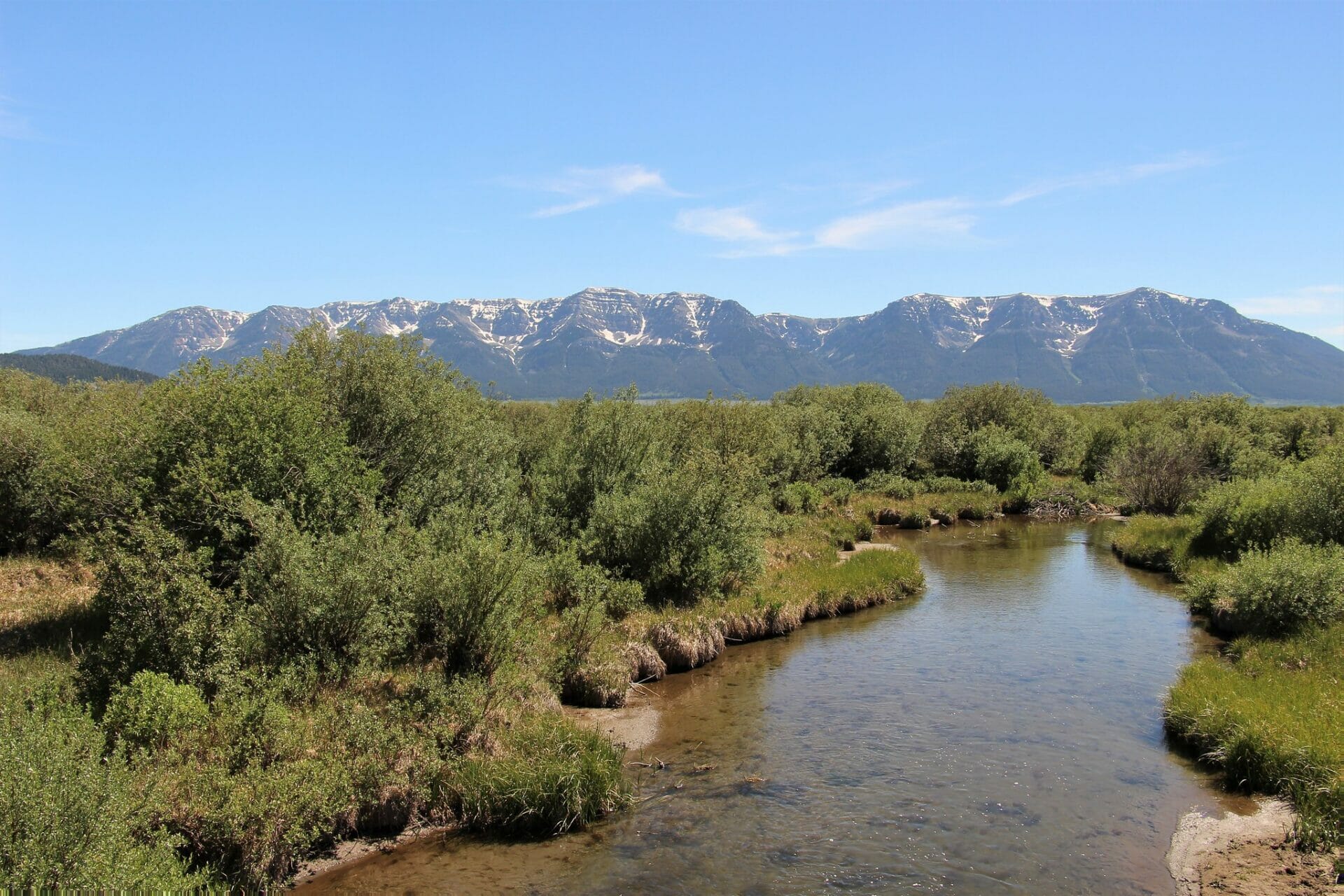 Refuge Field Guide Red Rock Lakes National Wildlife Refuge Trout