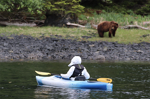 Person kayaking near bear