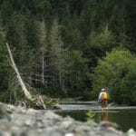Man in the distance, facing away from camera casts into water