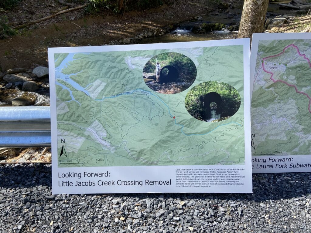 Poster showing typography and location and reads "Looking forward: Little Jacobs Creek Crossing Removal"