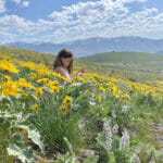 A young girl sits in a sloping field of yellow flowers with mountains in the background