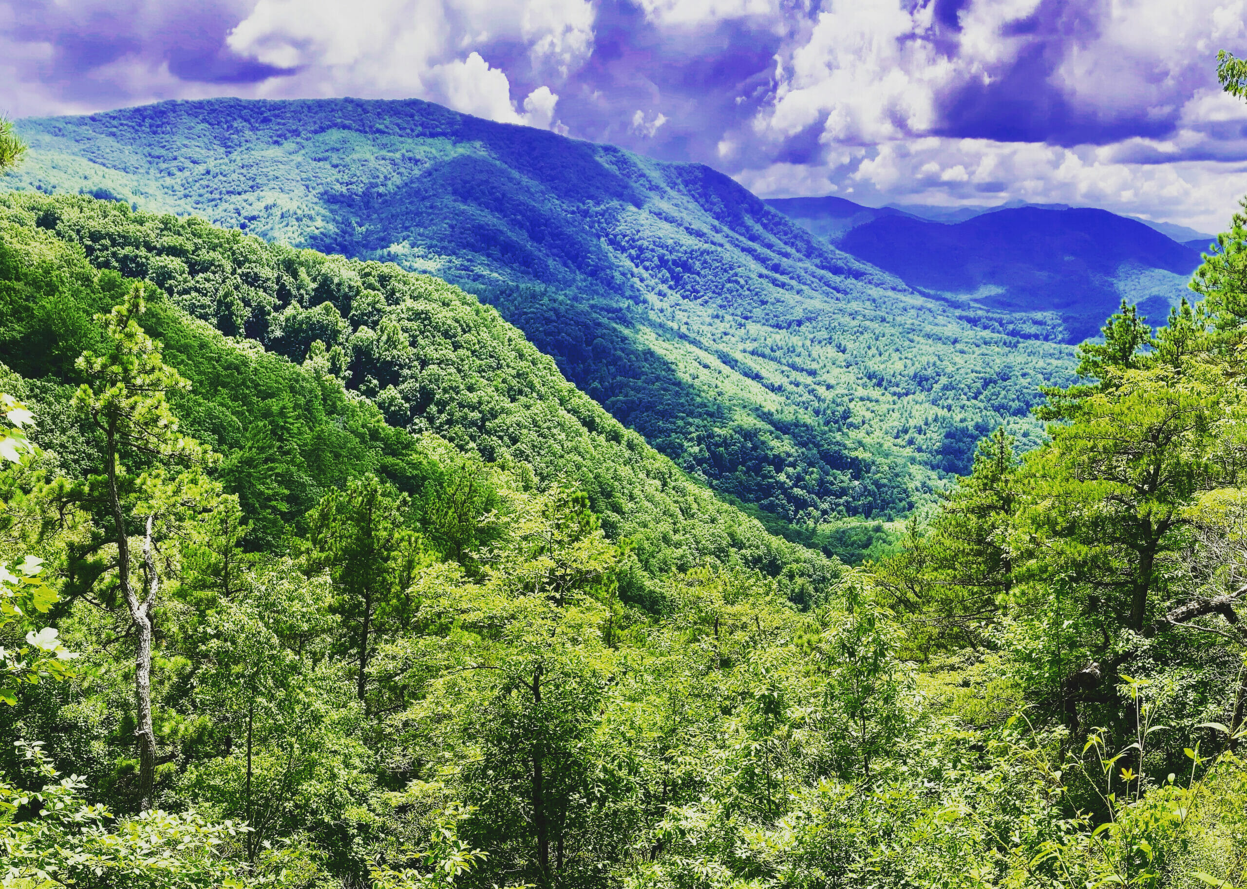 View of mountain forrest valley with billowing clouds