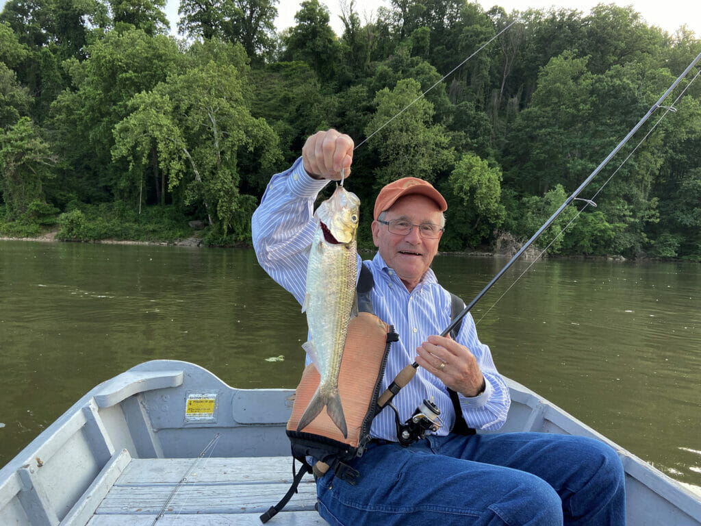 Jim Risch holds up shad while sitting in a boat